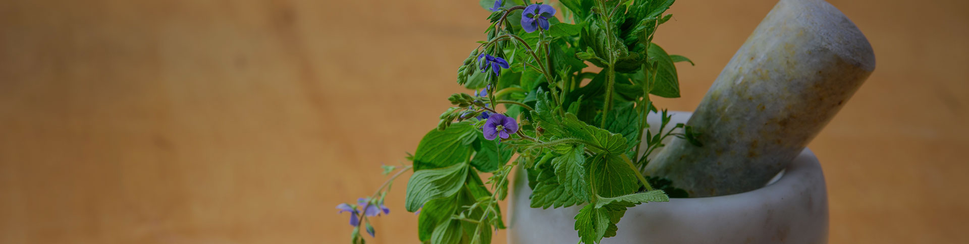 種藥吧-中藥供需信息發(fā)布微信平臺(tái)|一網(wǎng)天行-網(wǎng)站建設(shè)小程序APP系統(tǒng)軟件開(kāi)發(fā)公司