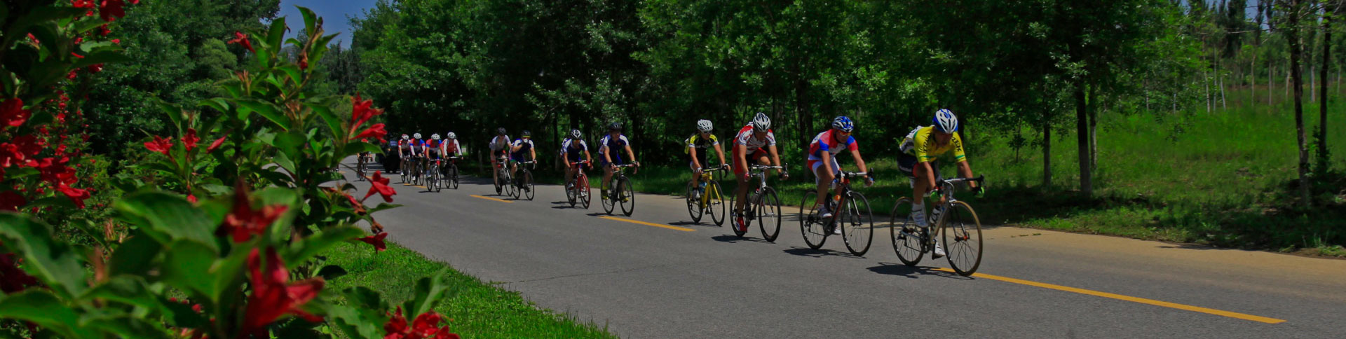 京西北旅游宣傳網(wǎng)站|一網(wǎng)天行-網(wǎng)站建設(shè)小程序APP系統(tǒng)軟件開(kāi)發(fā)公司