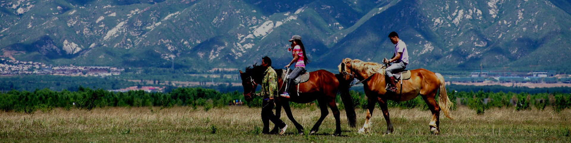 京西北旅游-微信H5展示平臺(tái)|一網(wǎng)天行-網(wǎng)站建設(shè)小程序APP系統(tǒng)軟件開(kāi)發(fā)公司