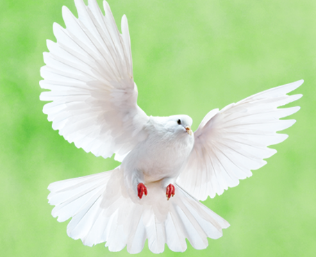 野谷集團網(wǎng)站|一網(wǎng)天行-網(wǎng)站建設小程序APP系統(tǒng)軟件開發(fā)公司